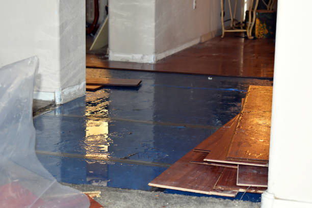 Professional Water Damage Restoration technician working in Selma, TX